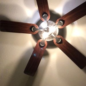 Meet your Posher, Elisa